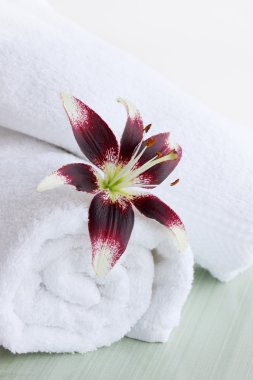 Lily ve beyaz havlular