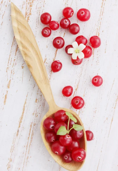 Cranberries in a spoon — Stock Photo, Image