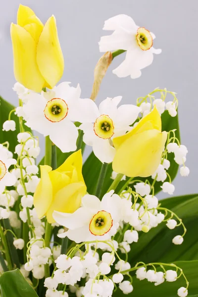 Spring flowers — Stock Photo, Image