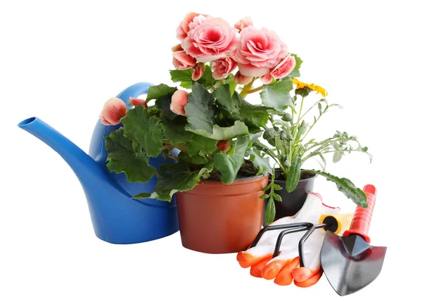 Garden tools and flowers — Stock Photo, Image