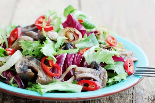 Warm vegetable salad — Stock Photo, Image