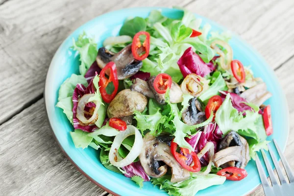 Vitamin warm vegetable salad — Stock Photo, Image