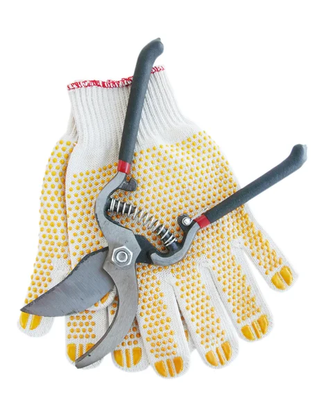 Gardening gloves and secateurs — Stock Photo, Image