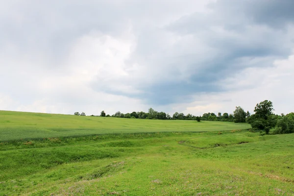 Gloomy sky over the field — Stock Photo, Image