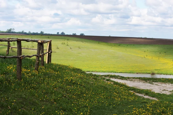 Rural landscape — Stock Photo, Image