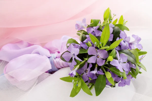 Periwinkle de lilás — Fotografia de Stock
