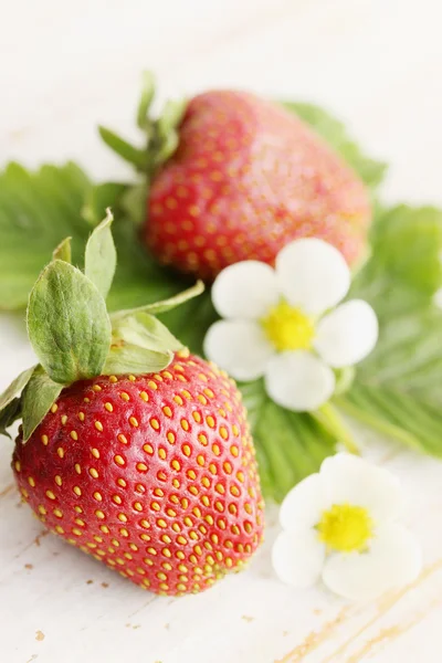 Aardbeien met bloemen — Stockfoto