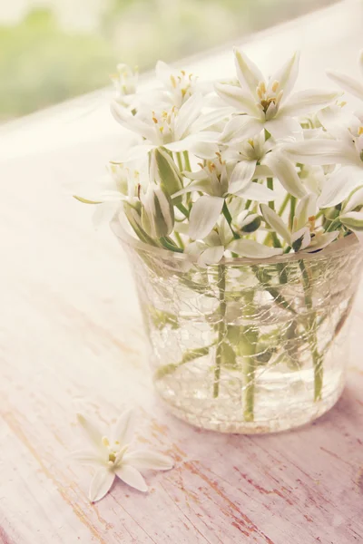 Lilien in einer Vase — Stockfoto