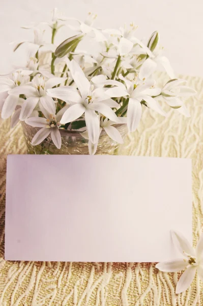 Flores com um cartão — Fotografia de Stock