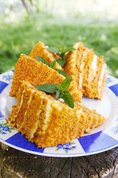 Honigkuchen auf einem Teller — Stockfoto