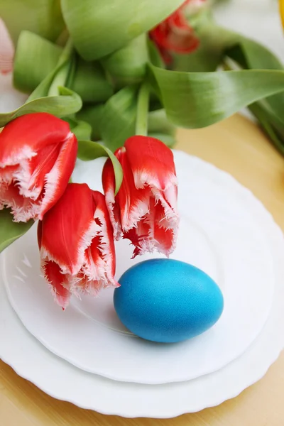 Blue egg and tulips — Stock Photo, Image