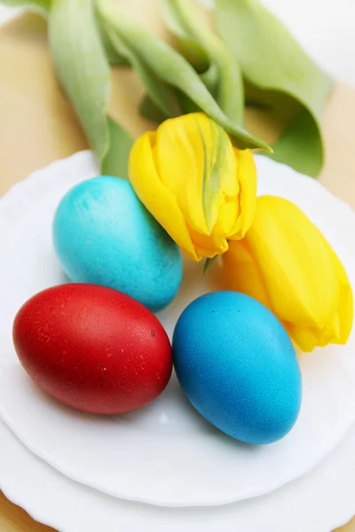 Easter eggs and tulips — Stock Photo, Image