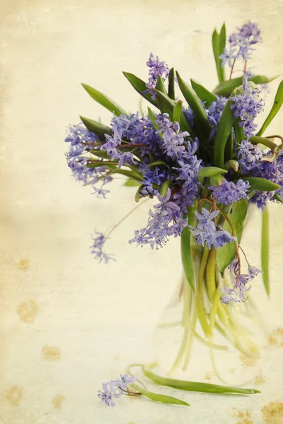 Scille de fleurs dans un vase, vintage — Photo