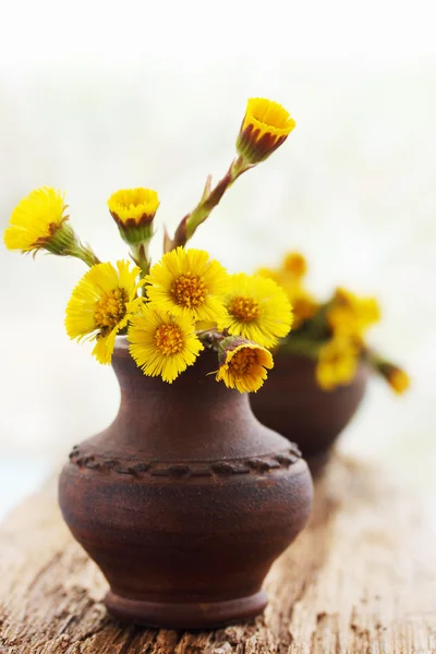 Piede in vaso di ceramica — Foto Stock