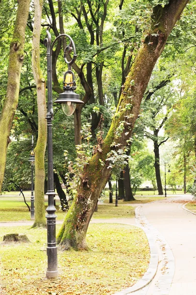 Beautiful lantern in the park — Stock Photo, Image
