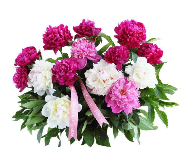 Bouquet of peonies isolated — Stock Photo, Image
