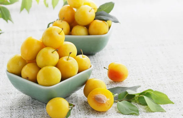 Yellow cherry-plum — Stock Photo, Image