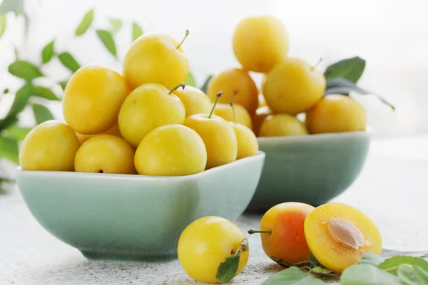 Ciruelas amarillas, naturaleza muerta de verano —  Fotos de Stock