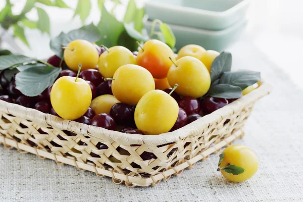 Cereza con ciruela —  Fotos de Stock