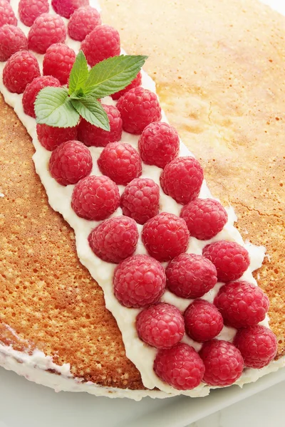 Sponge cake with raspberry — Stock Photo, Image