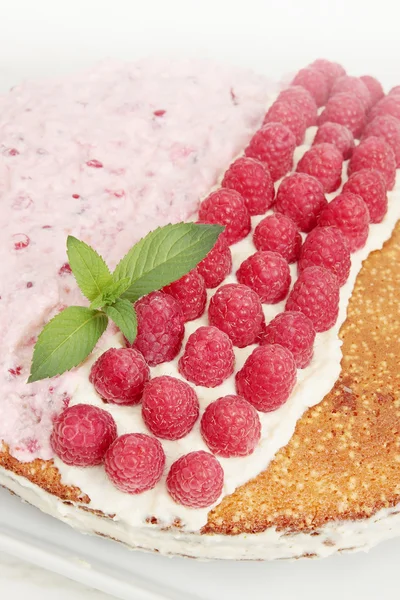 Pastel de esponja con crema agria — Foto de Stock