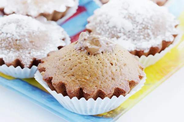 Schokoladen-Cupcakes — Stockfoto