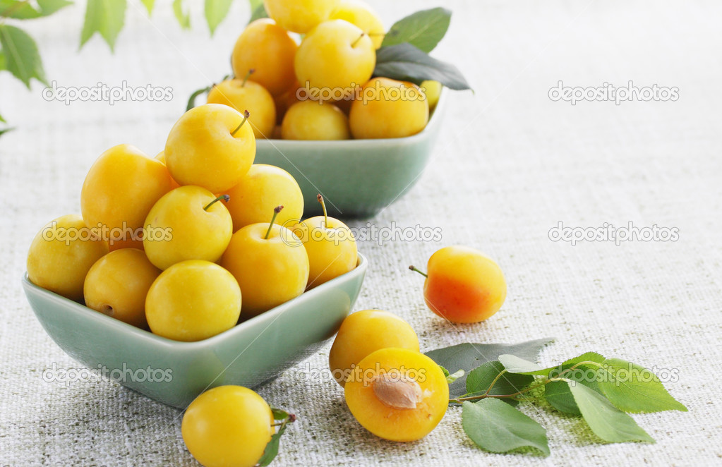 Yellow cherry-plum