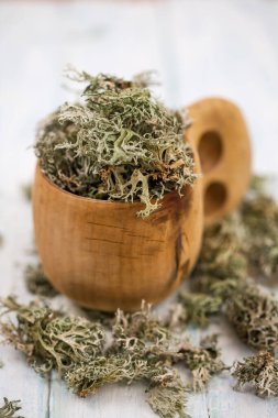 Kurumuş İzlanda yosunu, beyaz arka planda öksürük tedavisi