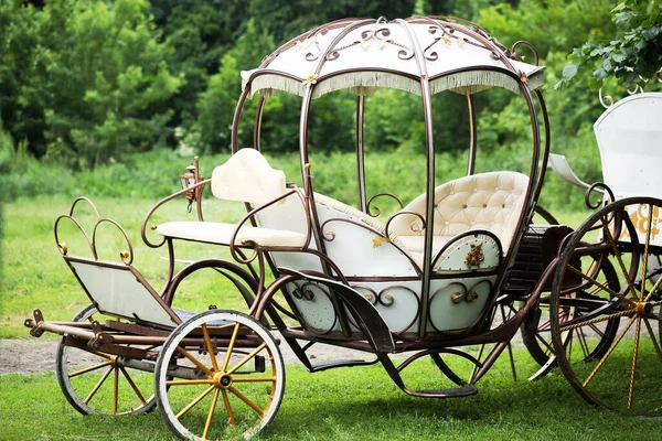 Beautiful Forged Carriage Green Summer Meadow — Stock Photo, Image