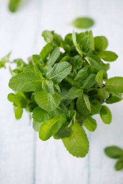 Bir buket taze İspanyol nane yaprağı, üst manzara.
