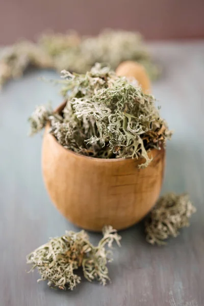 Dried Icelandic Moss Folk Remedy Coughs White Background — Fotografia de Stock