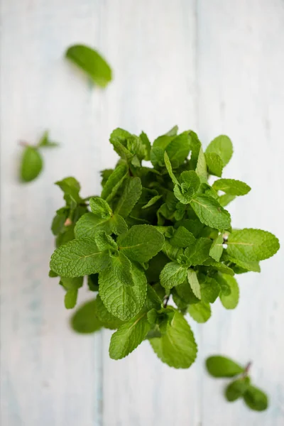 Bouquet Fresh Spanish Mint Leaves Top View — Stock Photo, Image