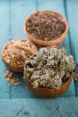 Marjoram, İzlanda yosunu ve öksürükler için meyan kökü homeopatik otlar.