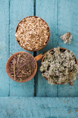 Marjoram, İzlanda yosunu ve öksürükler için meyan kökü homeopatik otlar.