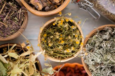 Şifalı çay için kuru otlar. Üst görünüm koleksiyonu