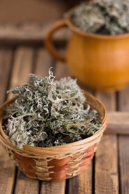 Kurumuş İzlanda yosunu, beyaz arka planda öksürük tedavisi