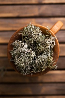 Kurumuş İzlanda yosunu, beyaz arka planda öksürük tedavisi