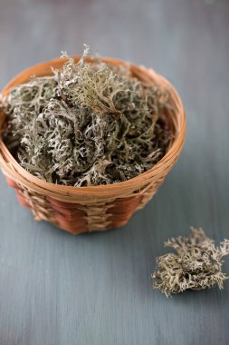 Kurumuş İzlanda yosunu, beyaz arka planda öksürük tedavisi