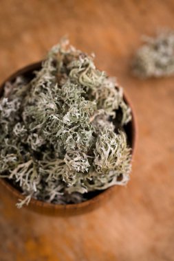 Kurumuş İzlanda yosunu, beyaz arka planda öksürük tedavisi