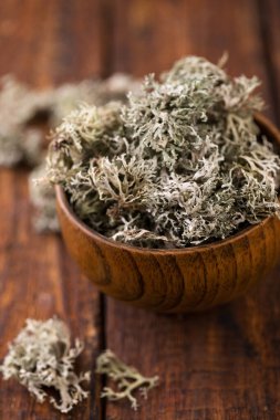 Kurumuş İzlanda yosunu, beyaz arka planda öksürük tedavisi