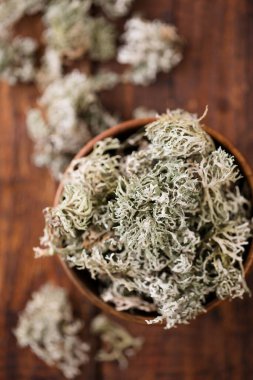 Kurumuş İzlanda yosunu, beyaz arka planda öksürük tedavisi