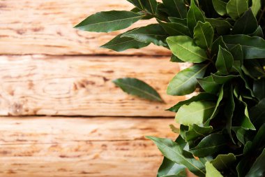 Tahta arka planda defne yapraklarından bir buket taze dal.