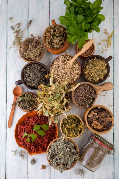 Dry Herbs Medicinal Tea Top View Collection — Stock Photo, Image