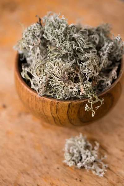 Dried Icelandic Moss Folk Remedy Coughs White Background — Foto Stock