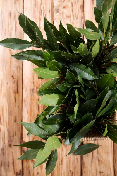 Bouquet Fresh Branches Laurel Leaves Wooden Background — Stockfoto