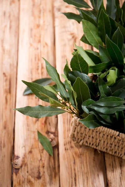 Bouquet Fresh Branches Laurel Leaves Wooden Background — Fotografia de Stock