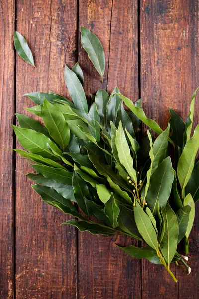 Bouquet Von Frischen Lorbeerzweigen Auf Holzgrund — Stockfoto