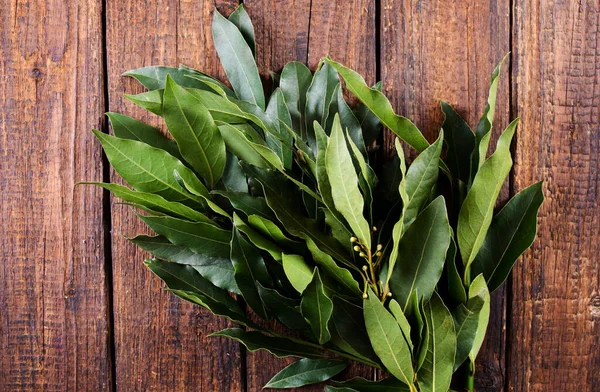 Bouquet Fresh Branches Laurel Leaves Wooden Background — Stock fotografie