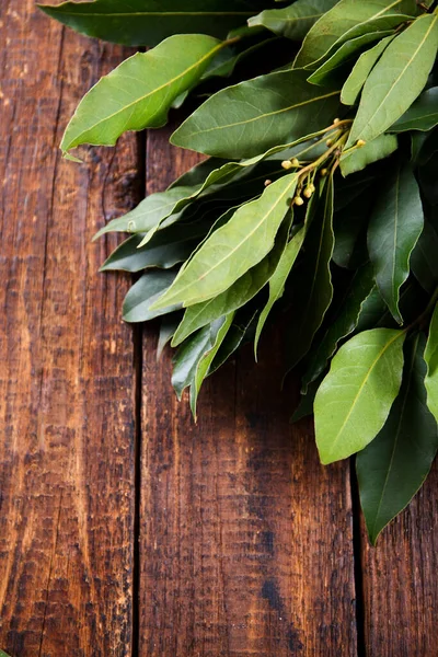 Bukett Färska Grenar Lagerblad Trä Bakgrund — Stockfoto