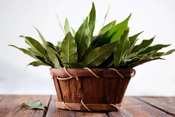 Bouquet Fresh Branches Laurel Leaves Wooden Background — Stockfoto